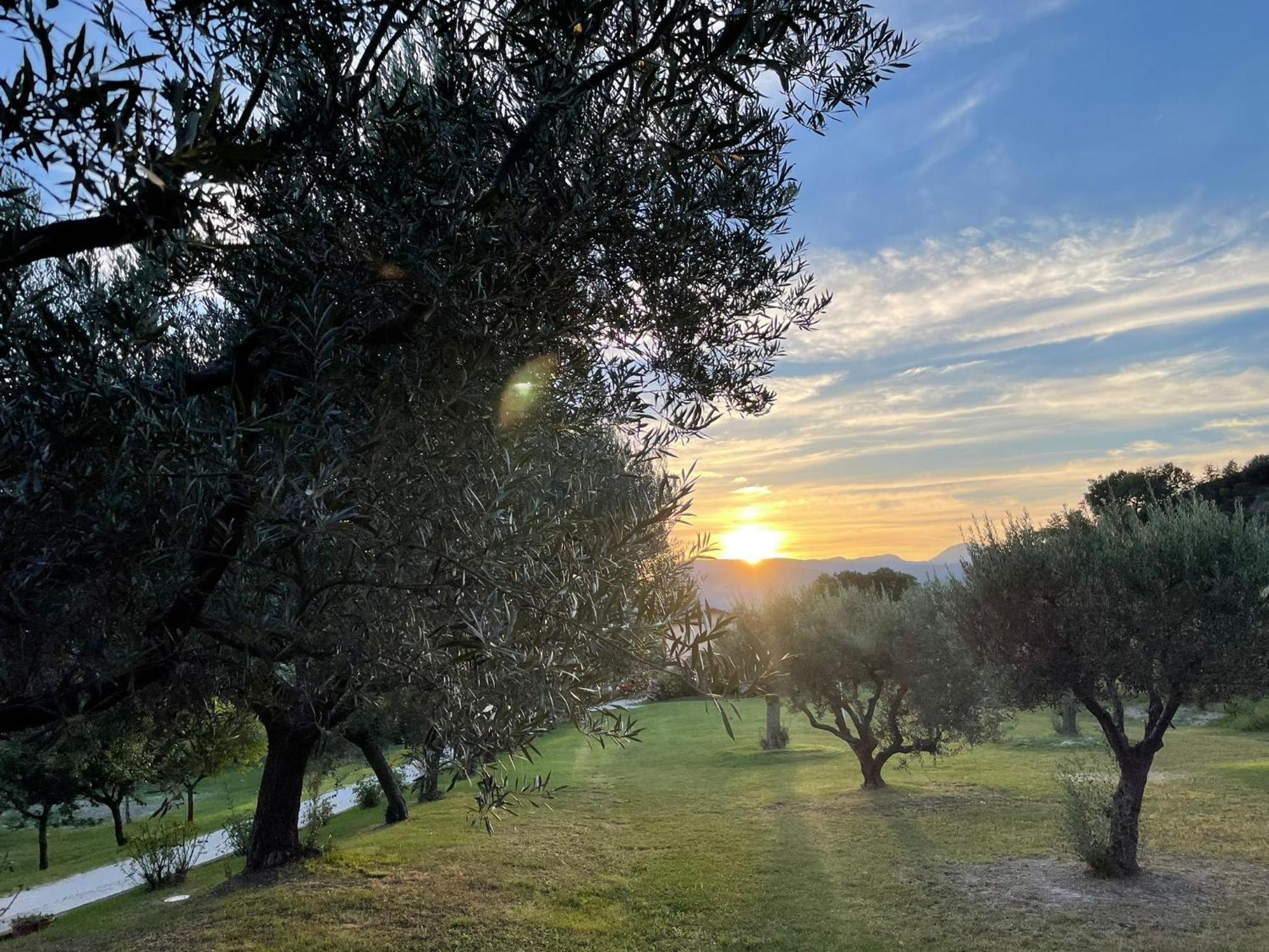 Agriturismo Villa Rosetta San Severino Marche Extérieur photo