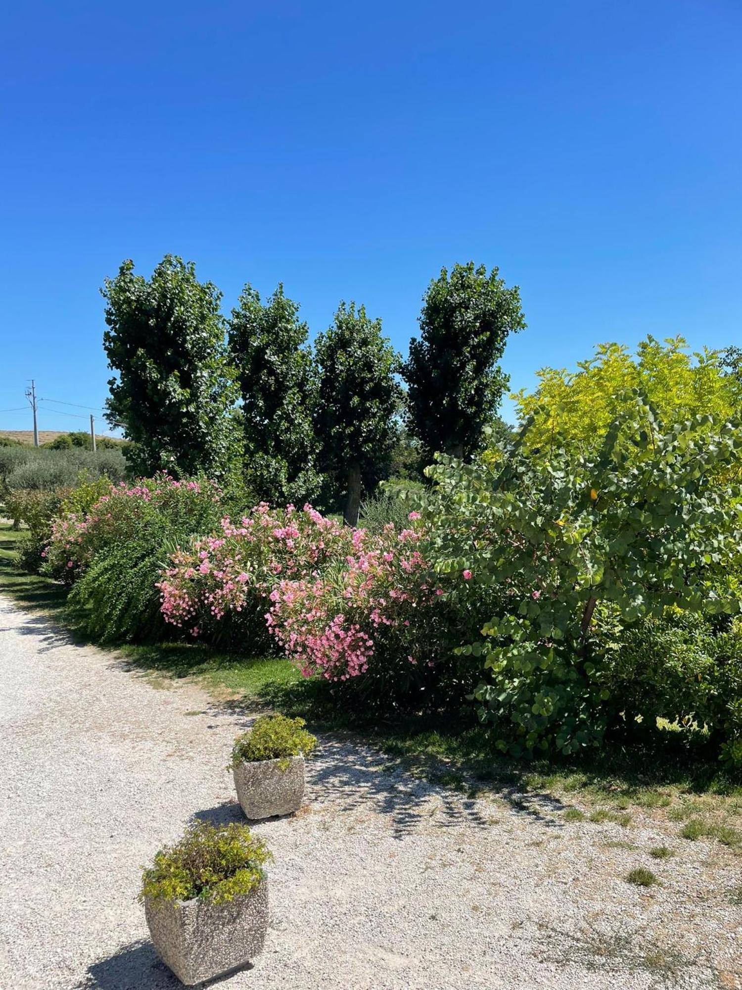 Agriturismo Villa Rosetta San Severino Marche Extérieur photo